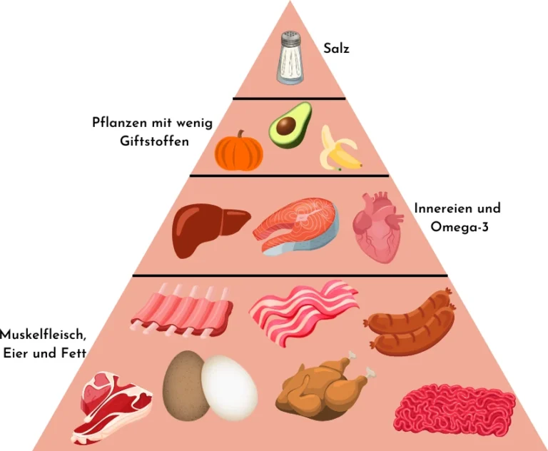 carnivore Ernährungspyramide